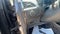 2015 Ford Edge SE